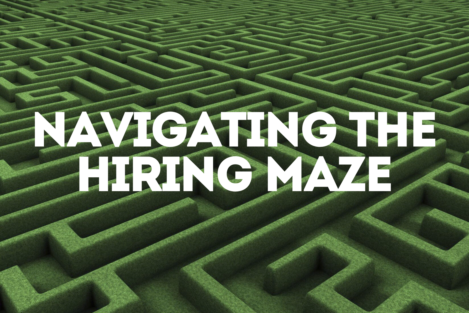 Navigating the Hiring Maze in 2024: Strategies for Success